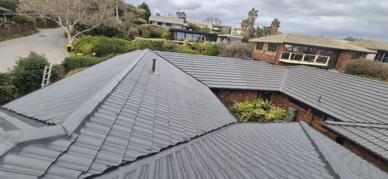 Professional roof cleaning team using safety equipment on a Mornington Peninsula home