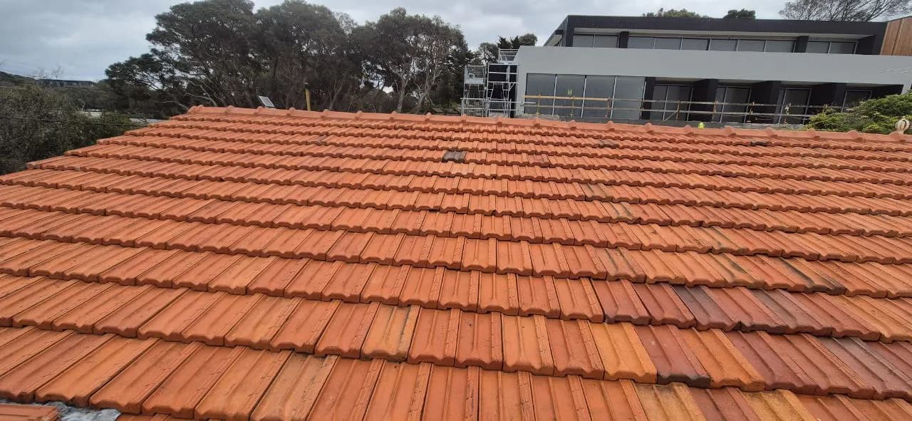 Freshly painted roof in a light colour on a Mornington Peninsula home showing energy-efficient roof colour choice