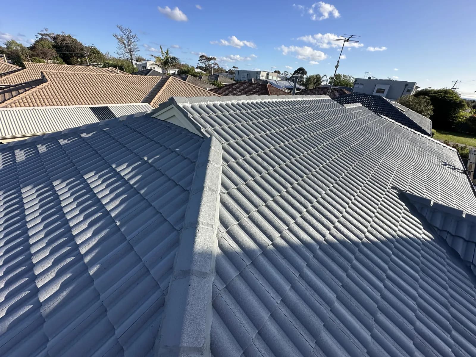 Roof inspection identifying water damage source on a Frankston Peninsula home