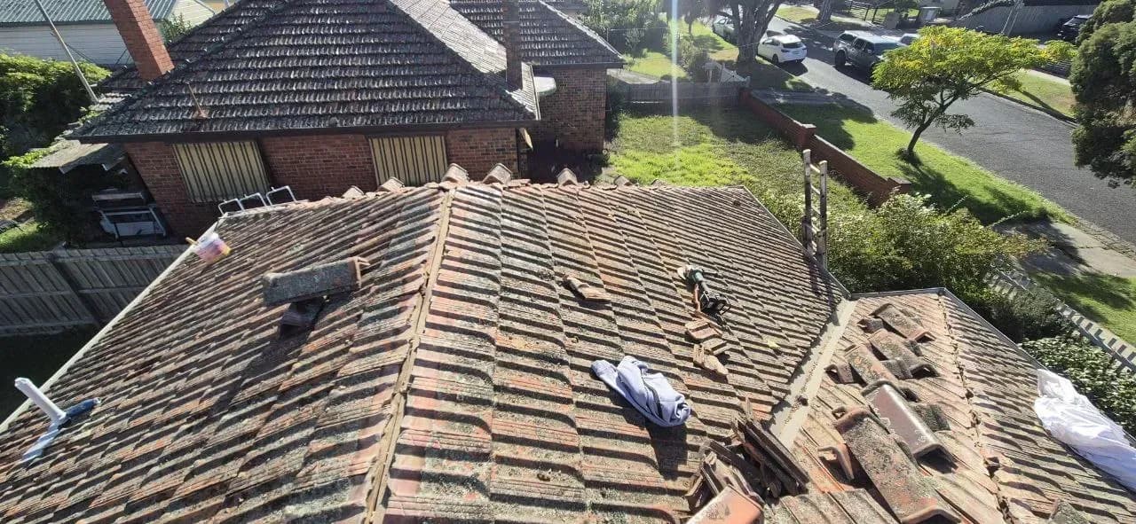 Frankston home roof before cleaning - moss and lichen growth