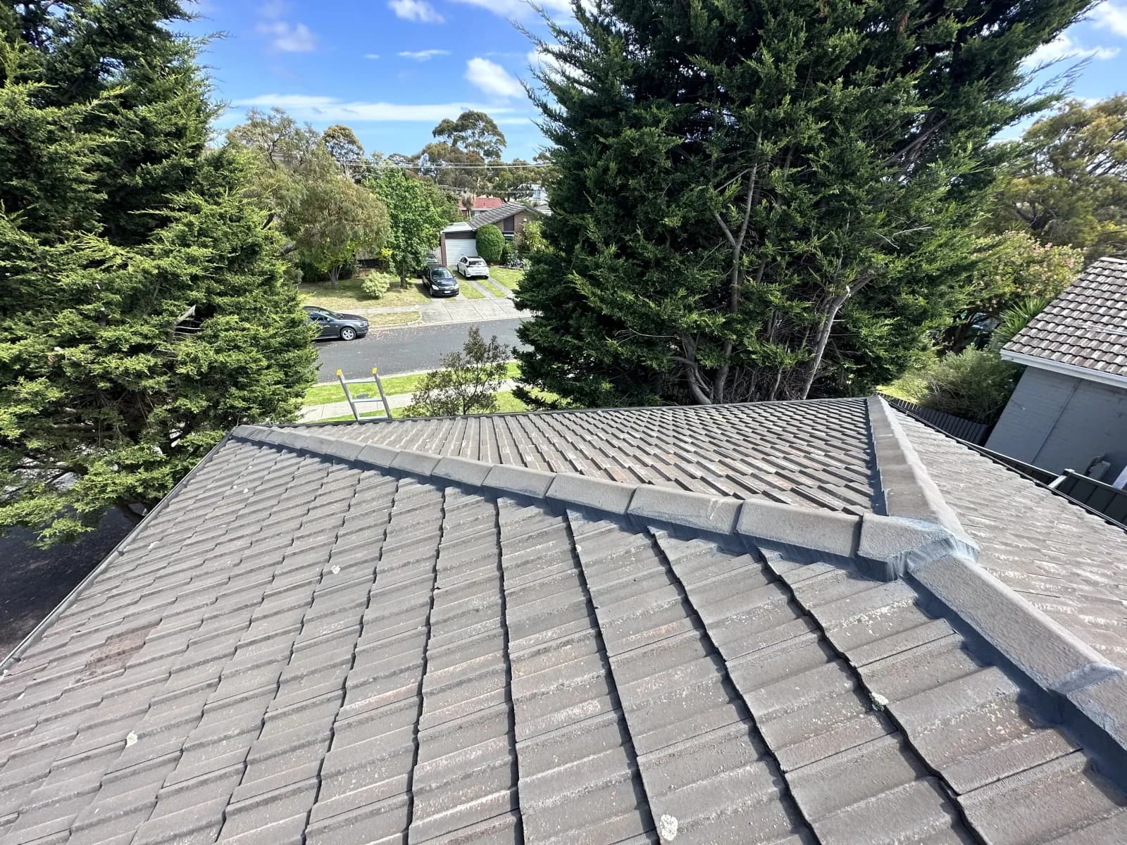 Frankston Heights roof restoration - complete tile roof transformation with premium Dulux coating