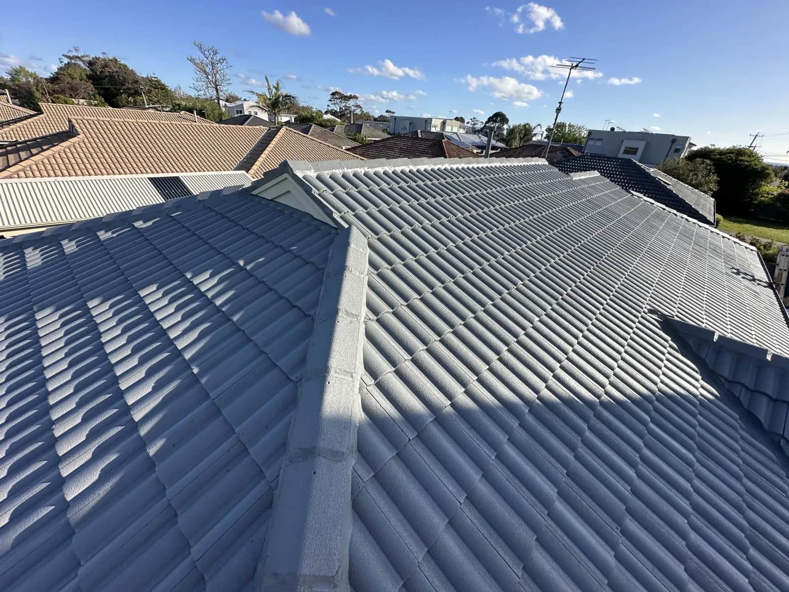 Roof inspection identifying water damage source on a Frankston Peninsula home