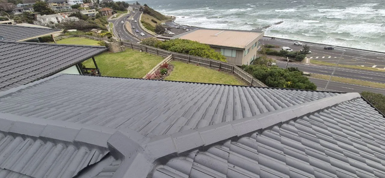 Expert roof painting and coating