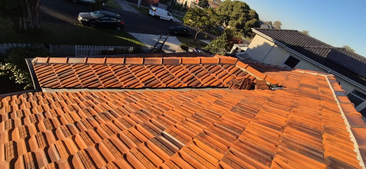Colorbond Roof Painting - Mornington - Detail view 2