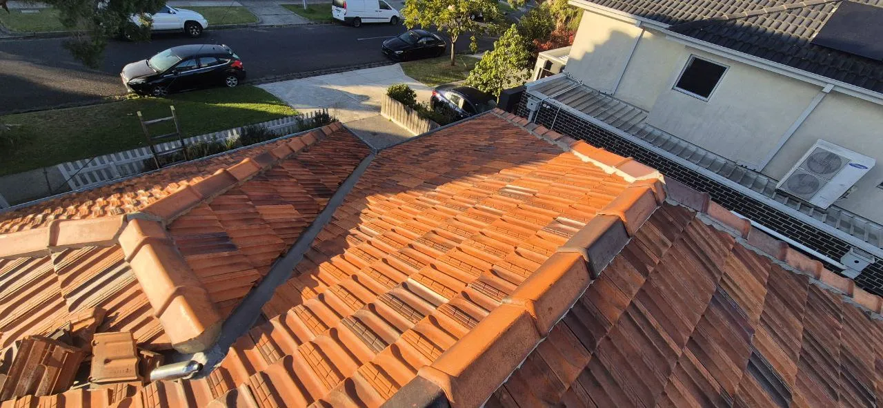 Ridge Capping Rebedding - Seaford - Detail view 3