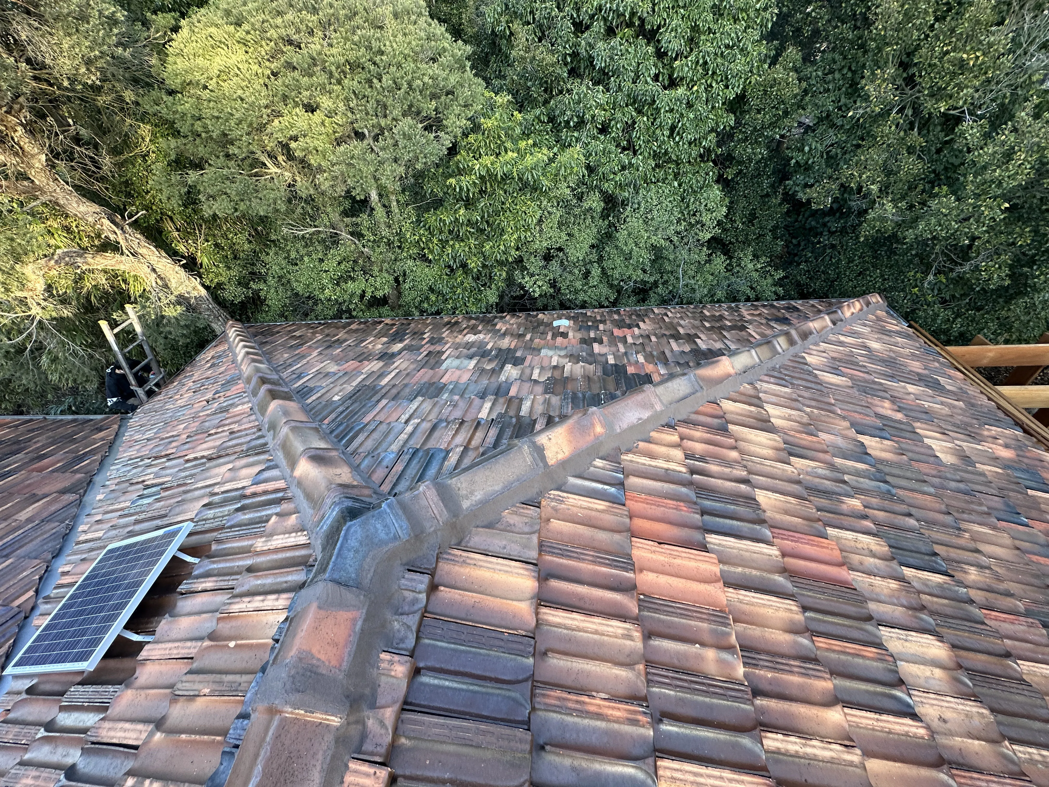 Roof painting project