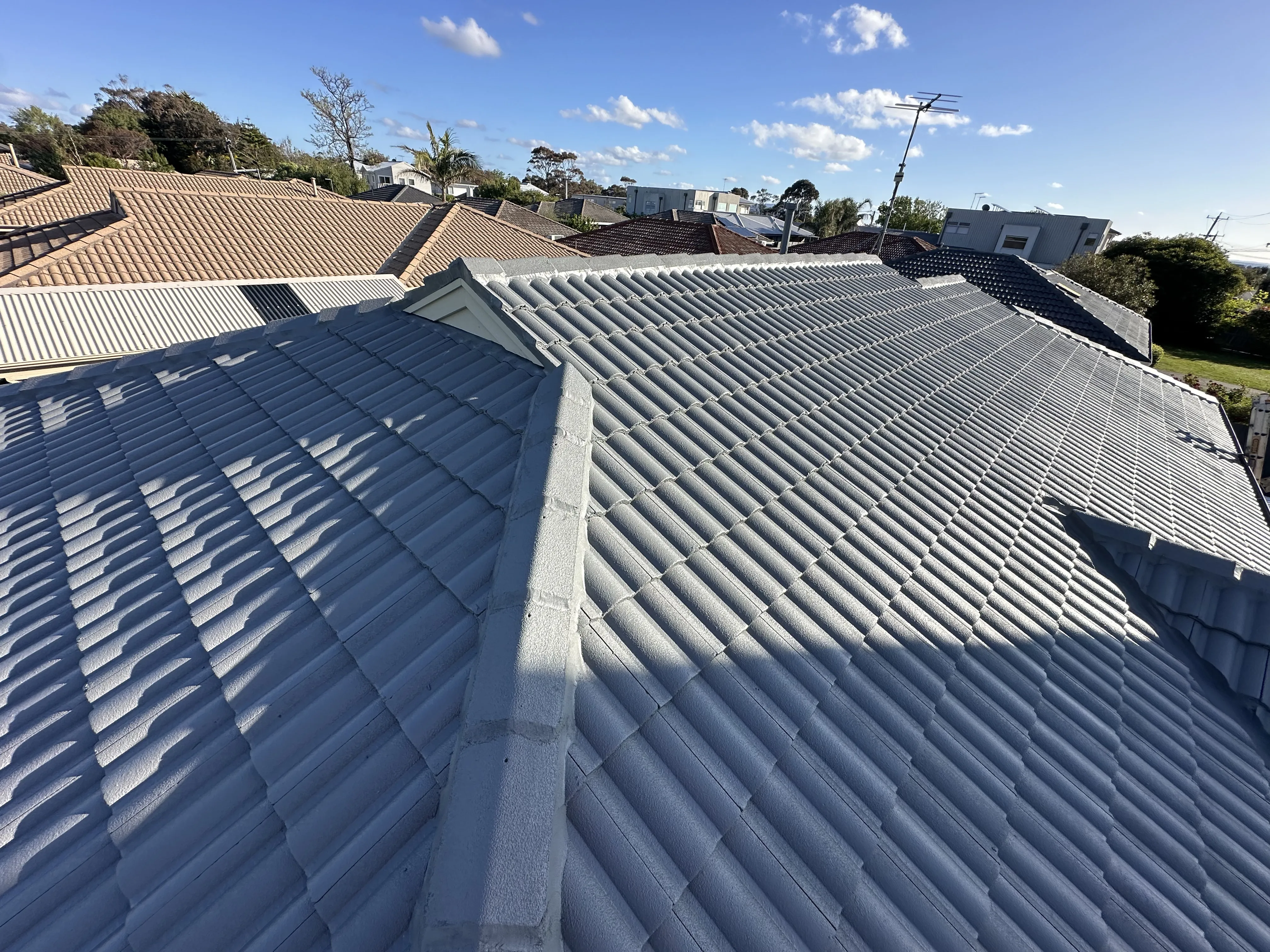 Established home roof restoration in Skye - transforming 1980s homes